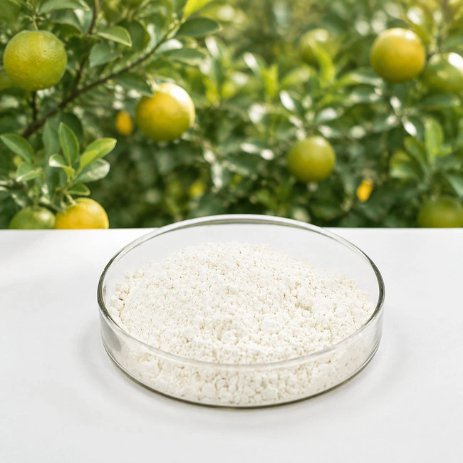 GRAS Sweetener
